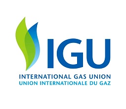 Международный газовый союз ( IGU) приостановил любое участие России