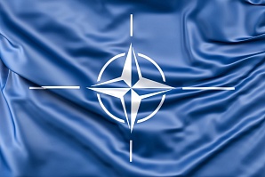 НАТО опубликовала резолюцию, которая рекомендует странам альянса признать, что в настоящий момент Россия является "террористическим режимом"