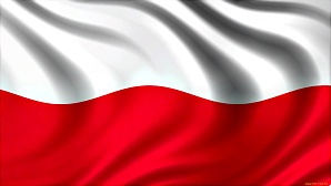 Польша признала власти России "террористическим режимом"